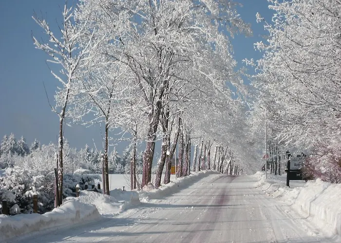Landschafts-gasthaus Brautigam-hanses Gasthof Schmallenberg